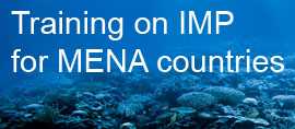 Training on IMP for MENA countries
