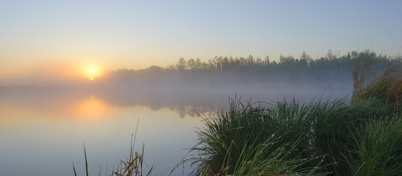 Sustainable regional development