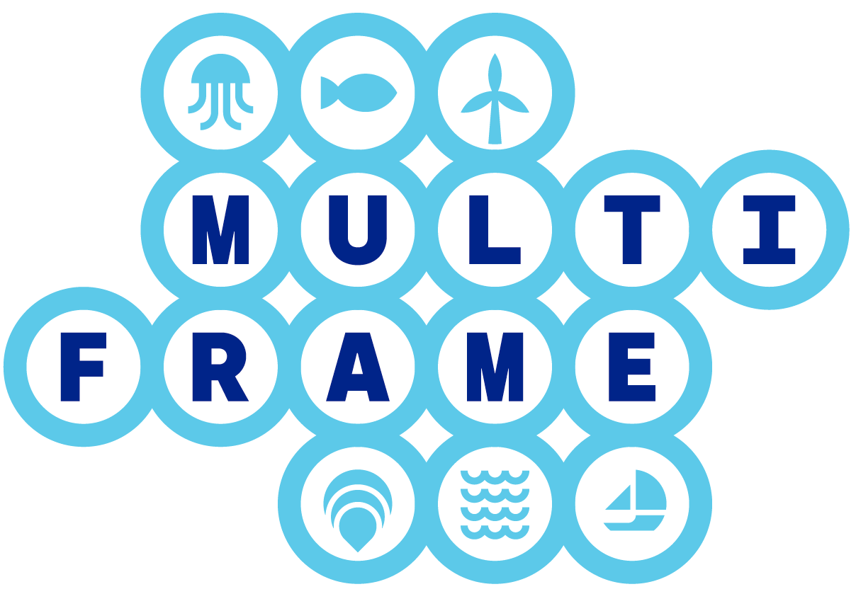 MULTI-FRAME